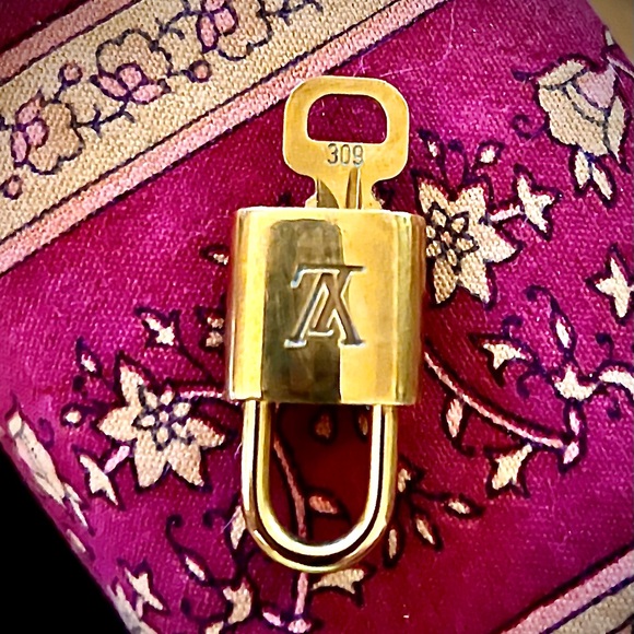 Louis Vuitton lock & key #309 full inclusion - Picture 4 of 12